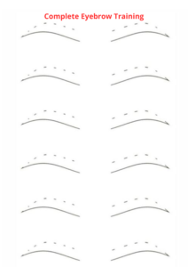 Eyebrow Design Workbook